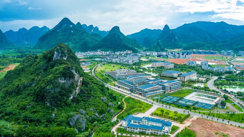 参数指标：二极管的参数指标是判断其性能优劣的重要依据。主要关注以下参数：